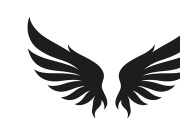 black bird wing logo vector