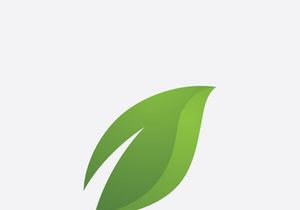 Green leaf ecological element vector icon logo
