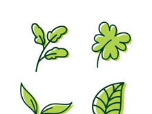 Leaves set logo template design