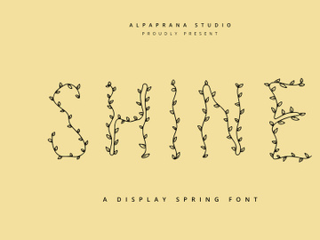 Shine - Decorative Display Font preview picture