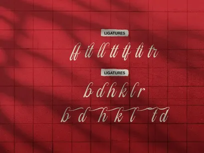 Filagio Vilantio | Classic Elegant Script