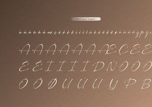 Pustaka Kinandy | Handwritten Script