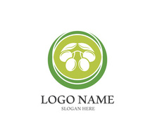 olive icon vector illustration design template