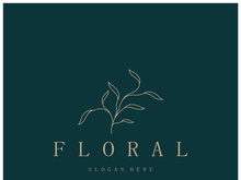 Elegant floral and leaf frame. Delicate botanical vector illustration for labels, spas, corporate identity, and wedding invitations