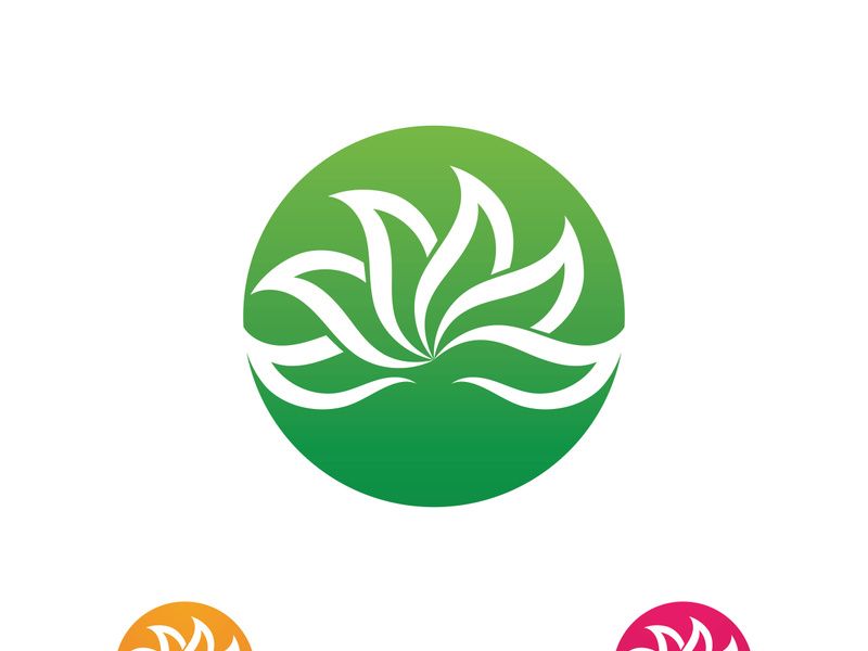 Beauty Vector lotus flowers design logo Template icon
