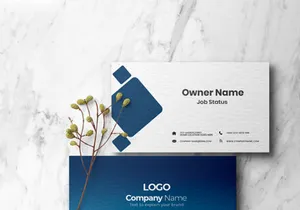 Luxury Business Card Designs | Set of 10 Business Cards
