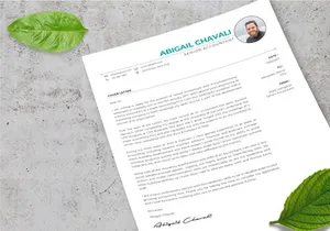 Elegant CV Resume Template - Senior Accounting