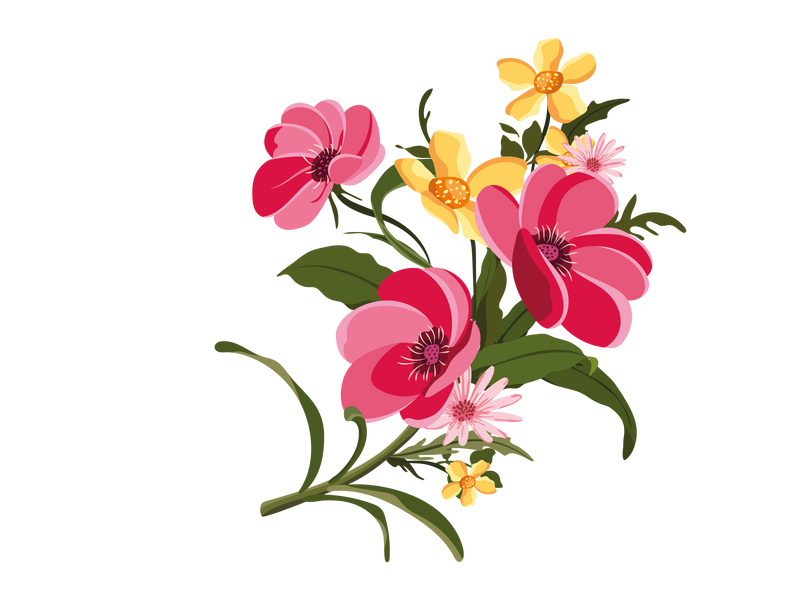 Vector Flower Watercolor Illustration