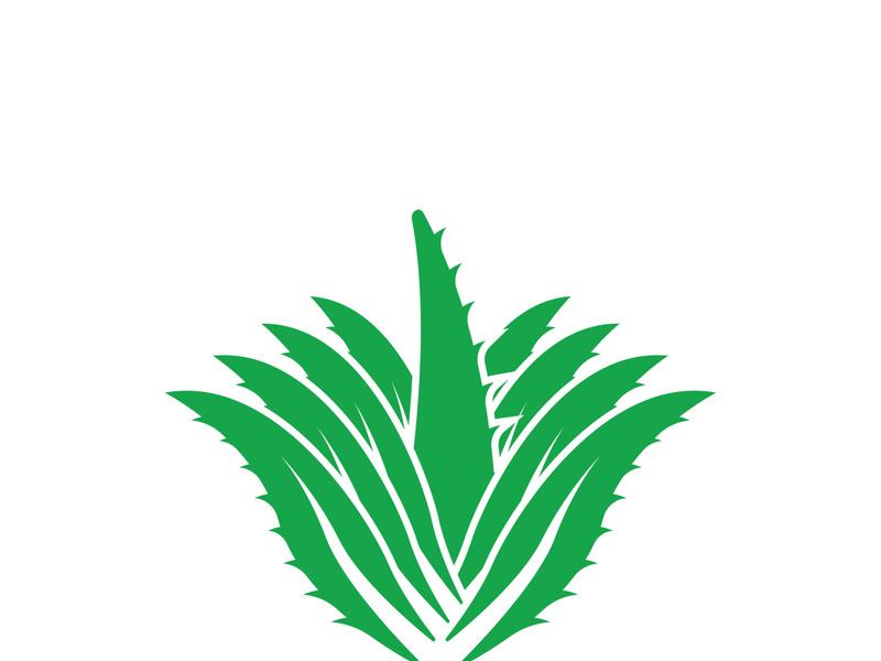 Aloe Vera logo icon design symbol beauty skin care