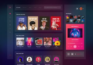 FM Music - Music Player Dashboard Saas App