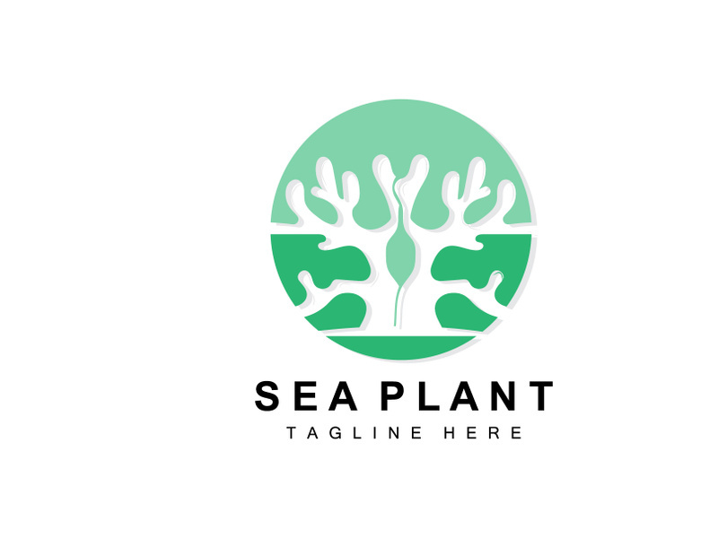 Seaweed Logo, Sea Plants Vector Design, Grocery And Nature Protection