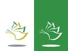 Butterfly logo icon vector design illustration