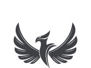 Falcon logo template vector illustration design