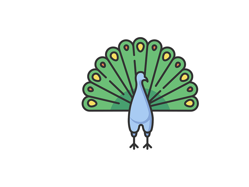 Peacock RGB color icon