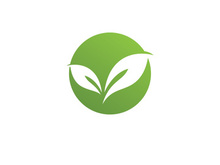 Green leaf logo  Nature icon design