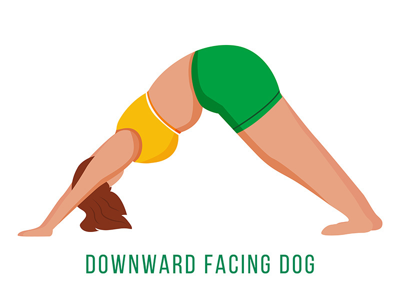 Downward facing dog flat vector illustration