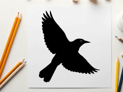 Silhouette of a bird in flight with wings spread wide