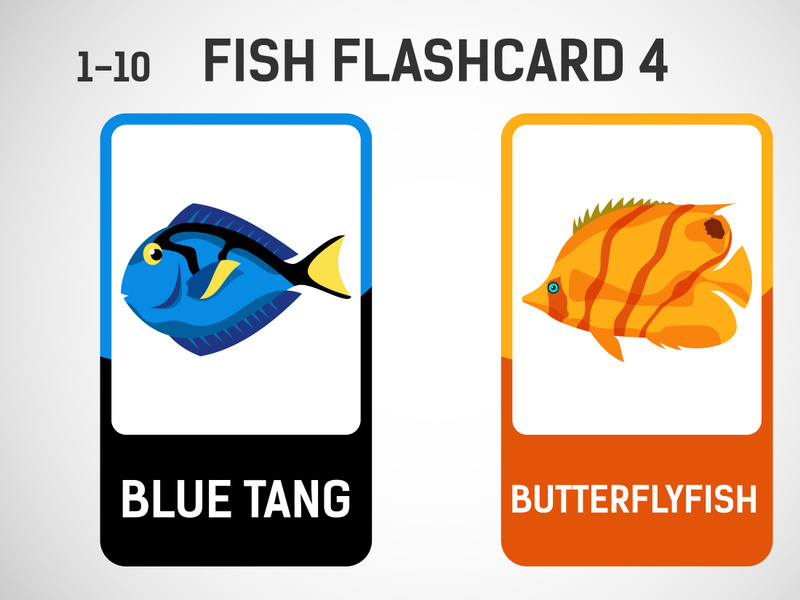 Fish flashcards for kids. Educational cards for preschool. Printable vector illustration