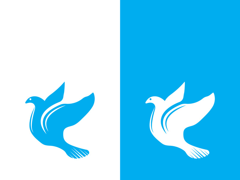 Dove bird logo vector design illustration