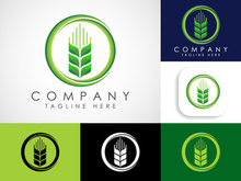Wheat Icon and Logo. For Identity Style of Natural Product Company and Farm Company. Agriculture Icon