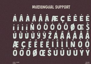 Chill Chirp - Display Font