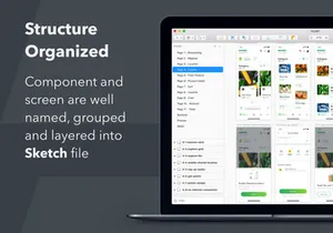 Momo UI Kit