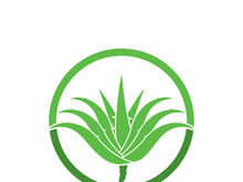 Aloe Vera logo icon design symbol beauty skin care