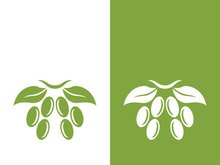 olive icon vector illustration design template