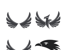 Falcon logo template vector illustration design