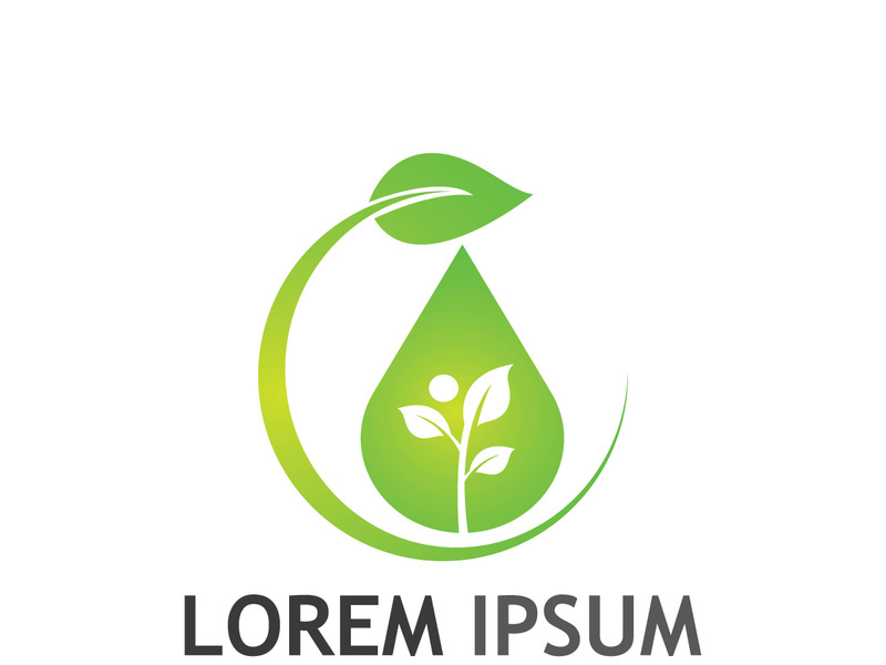 Natural green leaf logo.