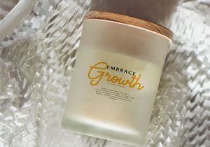 Paradise Gallaiso | Monoline Script Typeface