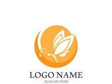 Butterfly logo icon vector design illustration