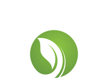 Logos of green Tree leaf ecology nature element vector