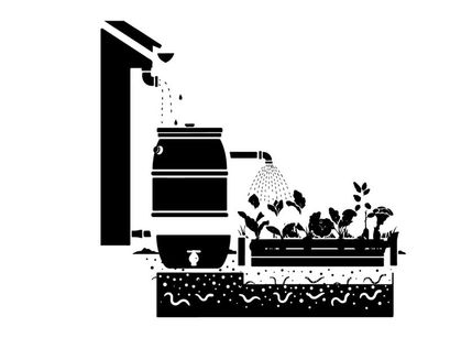 Rain barrel silhouette watering garden plants