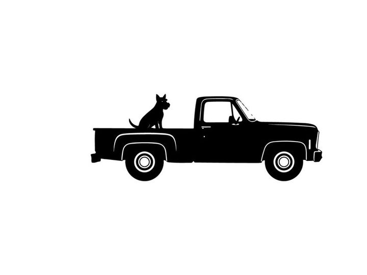 Silhouette of a dog sitting in the back of a pickup truck