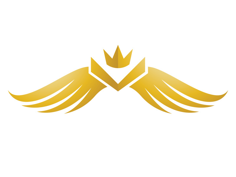 Wing bird logo vector