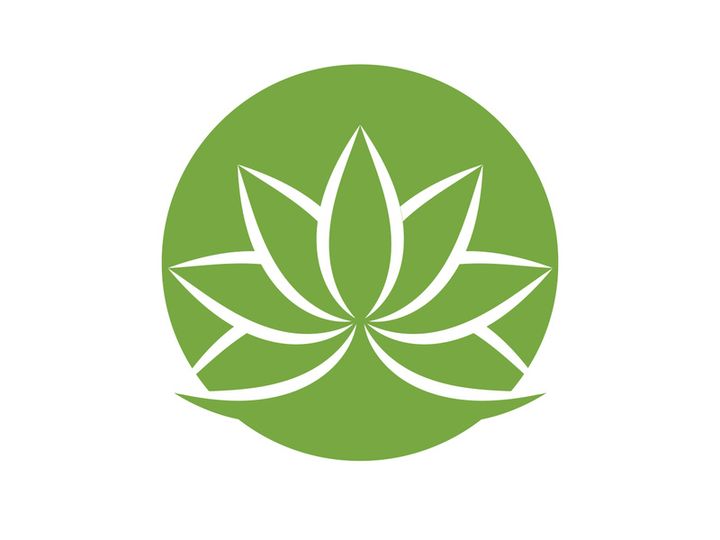 Vegan leaf green eco logo nature
