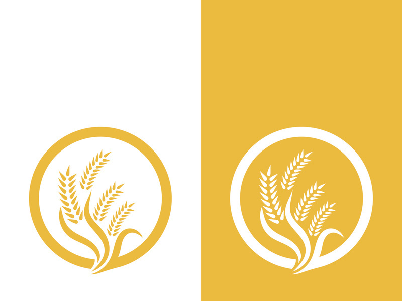 Wheat logo vector icon illustration design