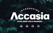 Accasia