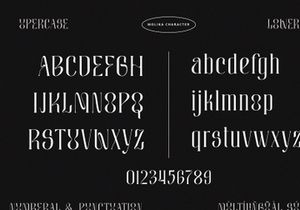 MOLIKA | Display Serif Typeface
