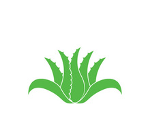 Aloe Vera logo icon design symbol beauty skin care