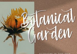 Cinthya Einzberg - Handwritten Font