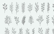 Fallin - A Floral Dingbat