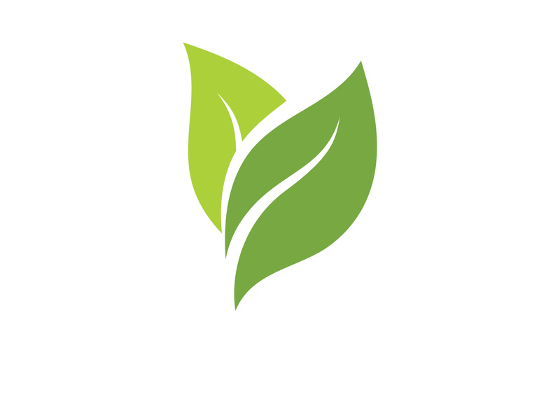 Vegan leaf green eco logo nature