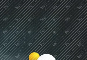 Weather App Challenge