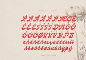 Nevroda Wisdom | Vintage Bold Script