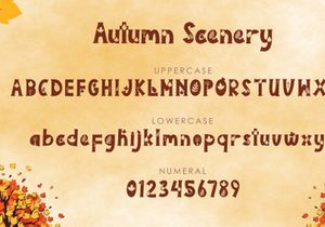 Autumn Scenery