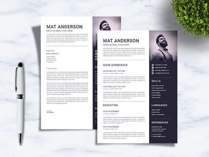 CV Resume 2 Page Sanstemp
