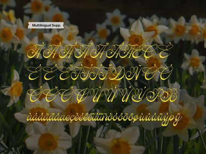 Kasfia Sirius | Classic Script