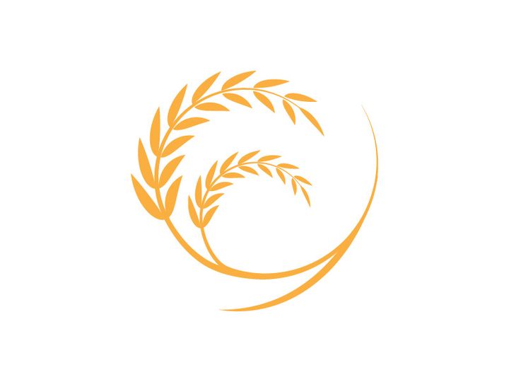Agriculture wheat rice icon illustration